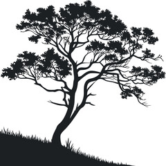Obraz premium Black silhouette of a sprawling tree with lush foliage on white background nature