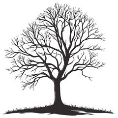 Obraz premium Black silhouette of a bare tree with intricate branches and grass vector