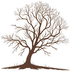 Brown Leafless Tree With Exposed Roots And Grass branches