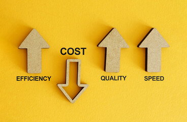 Improving Quality, Speed, and Efficiency While Reducing Cost as Business Efficiency and Cost...