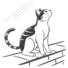 Black and white cat looking up animal domestic cat