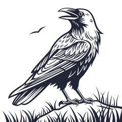 Dark crow perched on grass bird nature