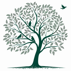 Dark green tree with birds on white background nature wildlife