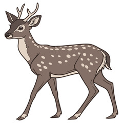 Spotted deer walking gracefully fawn brown