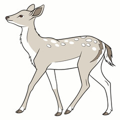 Spotted fawn walking gracefully deer animal