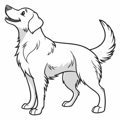 Happy dog looking up canine animal