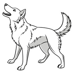 White wolf howling on white background canine animal