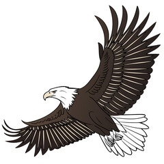Majestic eagle soaring with spread wings bird flying
