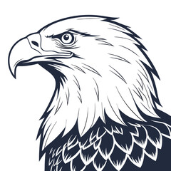 Majestic eagle profile illustration bird wildlife