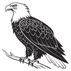 Majestic eagle perched on branch bird wildlife