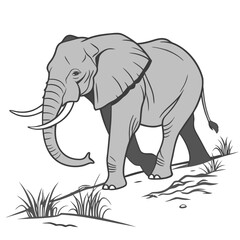 Fototapeta premium Gray elephant walking through grass tusks trunk