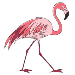 Pink flamingo walking on white bird animal