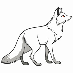 White fox with orange eyes looking up arctic fox animal
