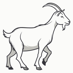 White goat walking on white background animal mammal