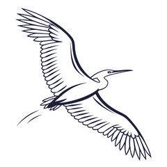 Elegant bird soaring with outstretched wings flying feathers