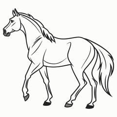 Elegant horse walking on white background animal equine