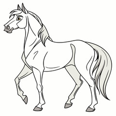 Graceful white horse walking animal equine