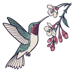 Hummingbird feeding on pink flowers flying