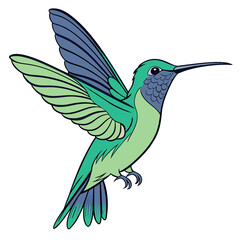 Hummingbird with green and blue wings flying nature