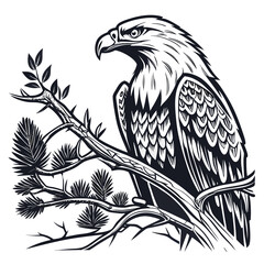 Majestic eagle perched on pine branch detailed ink illustration bird wildlife