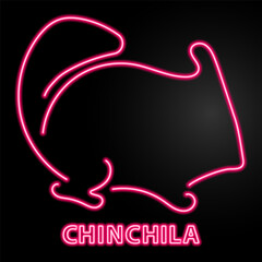 chinchila neon sign, modern glowing banner design, colorful modern design trends on black background. Vector illustration.