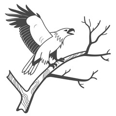 Majestic eagle perched on bare branches bird wildlife