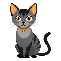 Gray tabby cat with orange collar and big eyes black