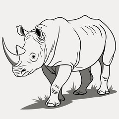 Rhinoceros walking on grass with shadow animal wildlife