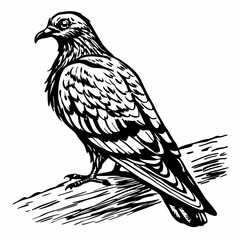 Black ink bird perched on branch pigeon dove