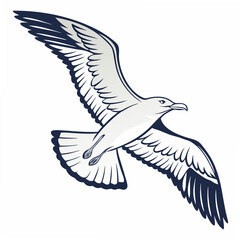 Seagull in flight white and navy bird flying