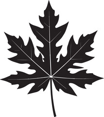 Papaya Leaf Vector Format – Black Exotic Foliage Silhouette Art