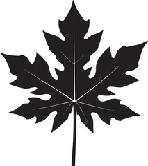 Papaya Leaf Vector Format – Black Exotic Foliage Silhouette Art