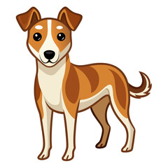 Brown and white dog standing alert canine animal