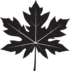 Papaya Leaf Vector Format – Black Exotic Foliage Silhouette Art