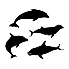 Diverse whale and dolphin ocean life silhouettes marine life