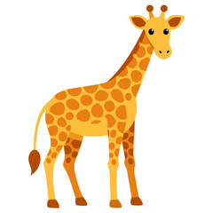 Yellow giraffe with brown spots standing on white background animal wildlife