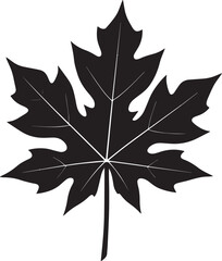 Papaya Leaf Vector Format – Black Exotic Foliage Silhouette Art