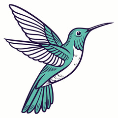 Teal hummingbird with dark blue outline in flight white