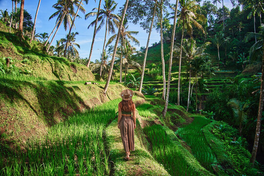 Young woman traveler wearing hat walking through picturesque green rice terraces in Ubud, Bali island, traveling to famous beautiful destinations