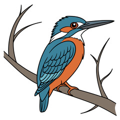 Blue orange bird perched on brown branch kingfisher