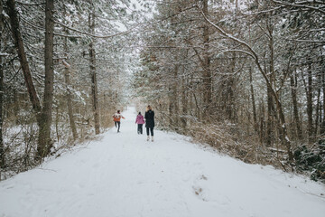 A scenic winter walk in the forest, with snow-covered paths and trees, showcasing the joy of nature and companionship during a peaceful seasonal outing.