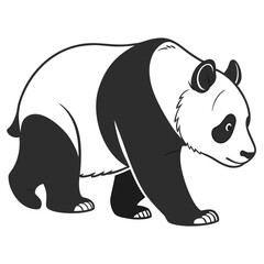 Black and white panda walking on a white background bear animal