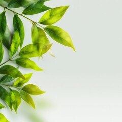 Obraz premium Green Leafy Branches with Vivid Leaves on Soft Background