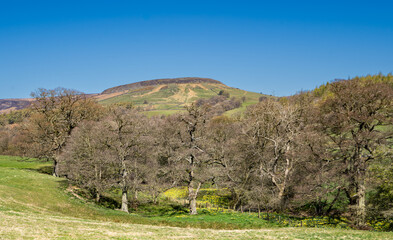 River Dove in Farndale, North Yorkshire