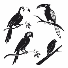 Toucans and parrots perched on branches macaw bird © RABBY