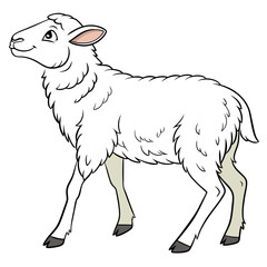 Cartoon sheep standing on white background lamb animal
