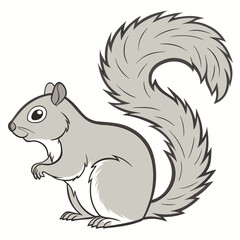 Gray squirrel sitting with bushy tail animal