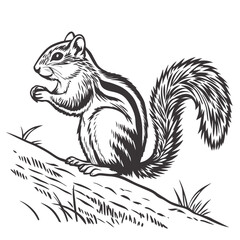 Striped chipmunk holding food on a branch rodent animal