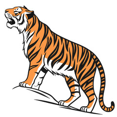 Fierce orange tiger roaring on white black stripes