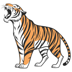 Roaring tiger with orange black and white stripes animal